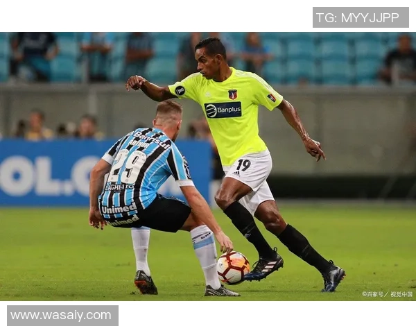 11月16日沙佩科对阵博塔弗精彩赛事前瞻与分析